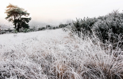 <i class='fa fa-user'></i>&nbsp;Henri Aantjes&nbsp;|  Winterlandschap&nbsp; <i class='fa fa-eye'>&nbsp;154</i> &nbsp; <i class='fa fa-comment-o'>&nbsp;1</i>