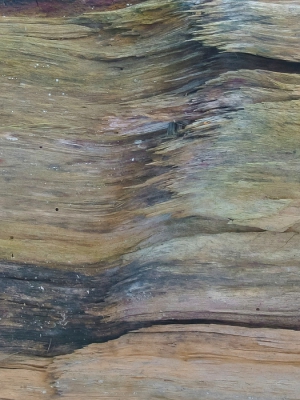 <i class='fa fa-user'></i>&nbsp;Bert Veerman&nbsp;|  "" Nature Art ""&nbsp; <i class='fa fa-eye'>&nbsp;215</i> &nbsp;<i class='fa fa-thumbs-up'>&nbsp;7</i> &nbsp; <i class='fa fa-comment-o'>&nbsp;7</i>