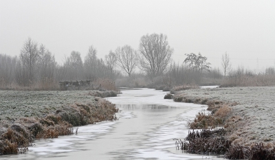 <i class='fa fa-user'></i>&nbsp;Cor&nbsp;|  Winters beeld&nbsp; <i class='fa fa-eye'>&nbsp;119</i> &nbsp;<i class='fa fa-thumbs-up'>&nbsp;1</i> &nbsp; <i class='fa fa-comment-o'>&nbsp;6</i>