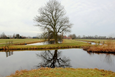 <i class='fa fa-user'></i>&nbsp;kooyammers&nbsp;|  Gezicht op de Vlist&nbsp; <i class='fa fa-eye'>&nbsp;136</i> &nbsp; <i class='fa fa-comment-o'>&nbsp;1</i>