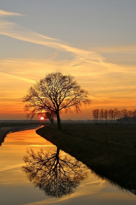 <i class='fa fa-user'></i>&nbsp;frbeuming&nbsp;|  Zonsondergang&nbsp; <i class='fa fa-eye'>&nbsp;168</i> &nbsp;<i class='fa fa-thumbs-up'>&nbsp;8</i> &nbsp; <i class='fa fa-comment-o'>&nbsp;8</i>