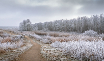 <i class='fa fa-user'></i>&nbsp;Anne van Rinsum&nbsp;|  Winterlandschap&nbsp; <i class='fa fa-eye'>&nbsp;188</i> &nbsp;<i class='fa fa-thumbs-up'>&nbsp;3</i> &nbsp; <i class='fa fa-comment-o'>&nbsp;8</i>
