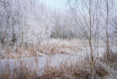 <i class='fa fa-user'></i>&nbsp;Anne van Rinsum&nbsp;|  Winterlandschap&nbsp; <i class='fa fa-eye'>&nbsp;164</i> &nbsp; <i class='fa fa-comment-o'>&nbsp;1</i>