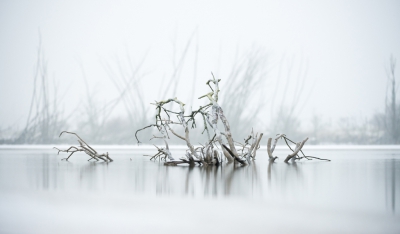 <i class='fa fa-user'></i>&nbsp;Leerdammerkees&nbsp;|  Still life in winter&nbsp; <i class='fa fa-eye'>&nbsp;293</i> &nbsp;<i class='fa fa-thumbs-up'>&nbsp;8</i> &nbsp; <i class='fa fa-comment-o'>&nbsp;9</i>