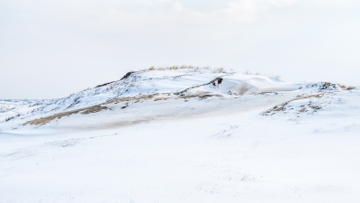 <i class='fa fa-user'></i>&nbsp;Loes Belovics&nbsp;|  Sneeuw in de duinen&nbsp; <i class='fa fa-eye'>&nbsp;210</i> &nbsp;<i class='fa fa-thumbs-up'>&nbsp;3</i> &nbsp; <i class='fa fa-comment-o'>&nbsp;5</i>