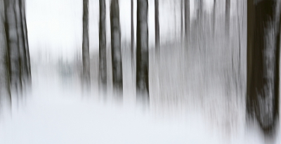 <i class='fa fa-user'></i>&nbsp;nelappelmelk&nbsp;|  Spelen in de sneeuw 1&nbsp; <i class='fa fa-eye'>&nbsp;410</i> &nbsp;<i class='fa fa-thumbs-up'>&nbsp;10</i> &nbsp; <i class='fa fa-comment-o'>&nbsp;10</i>