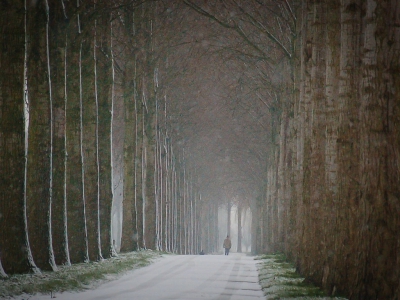 <i class='fa fa-user'></i>&nbsp;Bert Veerman&nbsp;|  "Winters Perspektief "&nbsp; <i class='fa fa-eye'>&nbsp;149</i> &nbsp; <i class='fa fa-comment-o'>&nbsp;6</i>