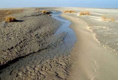 <i class='fa fa-user'></i>&nbsp;kooyammers&nbsp;|  Strand Oostdijk&nbsp; <i class='fa fa-eye'>&nbsp;132</i> &nbsp; <i class='fa fa-comment-o'>&nbsp;4</i>