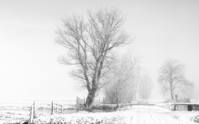 <i class='fa fa-user'></i>&nbsp;Christina&nbsp;|  Sneeuw in de polder&nbsp; <i class='fa fa-eye'>&nbsp;152</i> &nbsp;<i class='fa fa-thumbs-up'>&nbsp;1</i> &nbsp; <i class='fa fa-comment-o'>&nbsp;11</i>