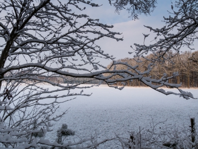 <i class='fa fa-user'></i>&nbsp;jma&nbsp;|  Sneeuw&nbsp; <i class='fa fa-eye'>&nbsp;139</i> &nbsp; <i class='fa fa-comment-o'>&nbsp;0</i>