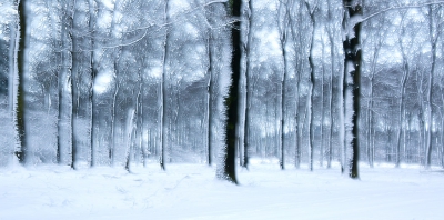 <i class='fa fa-user'></i>&nbsp;nelappelmelk&nbsp;|  Spelen in de sneeuw 2&nbsp; <i class='fa fa-eye'>&nbsp;185</i> &nbsp;<i class='fa fa-thumbs-up'>&nbsp;1</i> &nbsp; <i class='fa fa-comment-o'>&nbsp;7</i>