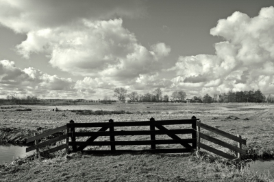 <i class='fa fa-user'></i>&nbsp;B.M.Schouten-Ruis&nbsp;|  Landschap in het Weegje&nbsp; <i class='fa fa-eye'>&nbsp;169</i> &nbsp; <i class='fa fa-comment-o'>&nbsp;5</i>
