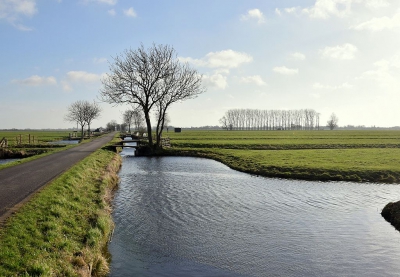<i class='fa fa-user'></i>&nbsp;kooyammers&nbsp;|  Maartse Ochtend&nbsp; <i class='fa fa-eye'>&nbsp;114</i> &nbsp; <i class='fa fa-comment-o'>&nbsp;3</i>