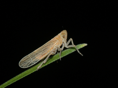 <i class='fa fa-user'></i> Cathy | Spoorcicade  <i class='fa fa-eye'> 136</i>  <i class='fa fa-thumbs-up'> 1</i>   <i class='fa fa-comment-o'> 4</i>