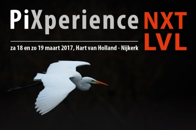 <i class='fa fa-user'></i>&nbsp;digidaan&nbsp;|  NXT LVL&nbsp; <i class='fa fa-eye'>&nbsp;132</i> &nbsp; <i class='fa fa-comment-o'>&nbsp;0</i>