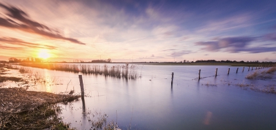 <i class='fa fa-user'></i>&nbsp;Matthijs&nbsp;|  In de Biesbosch&nbsp; <i class='fa fa-eye'>&nbsp;226</i> &nbsp; <i class='fa fa-comment-o'>&nbsp;4</i>