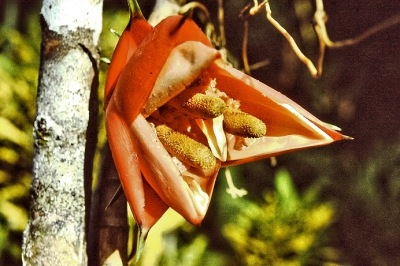 <i class='fa fa-user'></i>&nbsp;Fantabulous&nbsp;| Geen idee&nbsp; <i class='fa fa-eye'>&nbsp;59</i> &nbsp; <i class='fa fa-comment-o'>&nbsp;1</i>