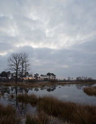 <i class='fa fa-user'></i>&nbsp;nelappelmelk&nbsp;|  Wolkenplukjes&nbsp; <i class='fa fa-eye'>&nbsp;155</i> &nbsp; <i class='fa fa-comment-o'>&nbsp;4</i>