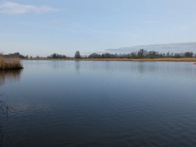 <i class='fa fa-user'></i>&nbsp;Gert-Jan&nbsp;|  Jantjesplaat Biesbosch&nbsp; <i class='fa fa-eye'>&nbsp;84</i> &nbsp; <i class='fa fa-comment-o'>&nbsp;0</i>