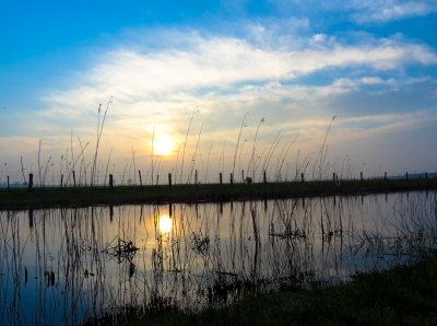 Zonsopgang in een mooie setting in het natuurgebied te achtmaal