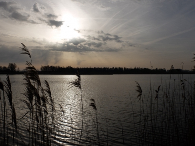 Ben met de natuurtak van de fotoclub  een ochtendje wezen fotograferen.de Jantjesplaat is een leuk gebiedje waar veel is te zien .