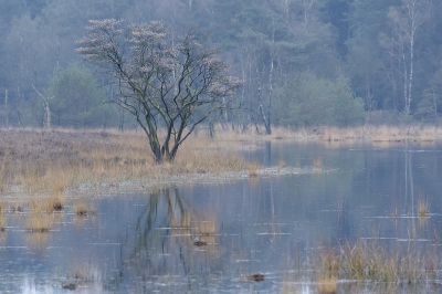 <i class='fa fa-user'></i>&nbsp;Jody Z&nbsp;|  Veluwe&nbsp; <i class='fa fa-eye'>&nbsp;184</i> &nbsp;<i class='fa fa-thumbs-up'>&nbsp;3</i> &nbsp; <i class='fa fa-comment-o'>&nbsp;9</i>