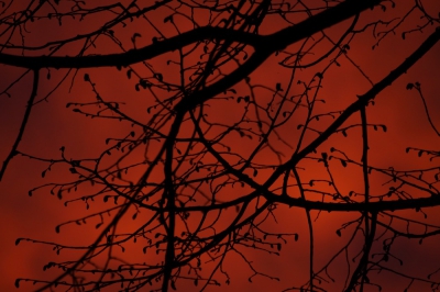 <i class='fa fa-user'></i>&nbsp;Mark de Bruijn&nbsp;|  Zonsondergang&nbsp; <i class='fa fa-eye'>&nbsp;92</i> &nbsp; <i class='fa fa-comment-o'>&nbsp;0</i>