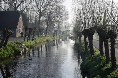 <i class='fa fa-user'></i>&nbsp;kooyammers&nbsp;|  Boerenbuurt Bovenkerk&nbsp; <i class='fa fa-eye'>&nbsp;140</i> &nbsp; <i class='fa fa-comment-o'>&nbsp;3</i>