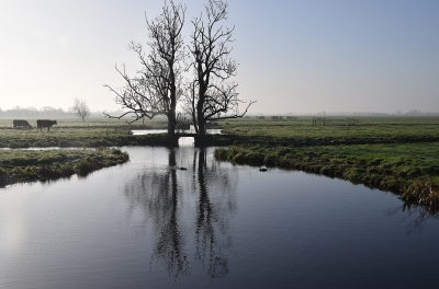 <i class='fa fa-user'></i>&nbsp;kooyammers&nbsp;|  Weidse Polder&nbsp; <i class='fa fa-eye'>&nbsp;117</i> &nbsp;<i class='fa fa-thumbs-up'>&nbsp;1</i> &nbsp; <i class='fa fa-comment-o'>&nbsp;4</i>