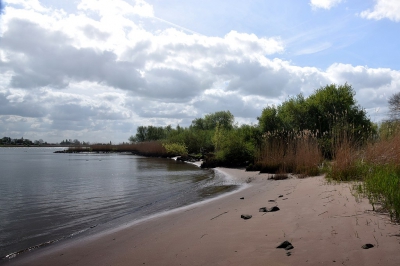 <i class='fa fa-user'></i>&nbsp;kooyammers&nbsp;|  Strand Wolken Water&nbsp; <i class='fa fa-eye'>&nbsp;93</i> &nbsp; <i class='fa fa-comment-o'>&nbsp;1</i>