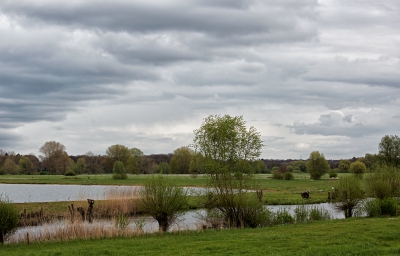 <i class='fa fa-user'></i>&nbsp;nelappelmelk&nbsp;|  Hollandse luchten&nbsp; <i class='fa fa-eye'>&nbsp;137</i> &nbsp; <i class='fa fa-comment-o'>&nbsp;6</i>