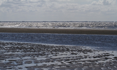 <i class='fa fa-user'></i>&nbsp;Henk Bouter&nbsp;|  Maasvlakte&nbsp; <i class='fa fa-eye'>&nbsp;88</i> &nbsp; <i class='fa fa-comment-o'>&nbsp;3</i>