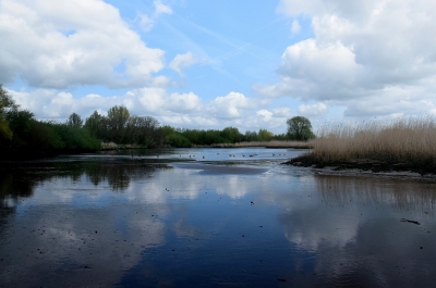 <i class='fa fa-user'></i>&nbsp;kooyammers&nbsp;|  Weerspiegeling in Slik&nbsp; <i class='fa fa-eye'>&nbsp;99</i> &nbsp; <i class='fa fa-comment-o'>&nbsp;4</i>