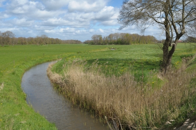 <i class='fa fa-user'></i>&nbsp;Hendrik van Kampen&nbsp;|  Grootdiep, bovenloop Tjonger&nbsp; <i class='fa fa-eye'>&nbsp;152</i> &nbsp;<i class='fa fa-thumbs-up'>&nbsp;1</i> &nbsp; <i class='fa fa-comment-o'>&nbsp;8</i>