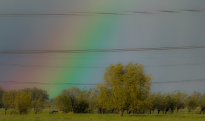 <i class='fa fa-user'></i>&nbsp;Henri Aantjes&nbsp;|  Regenboog in landschap&nbsp; <i class='fa fa-eye'>&nbsp;101</i> &nbsp; <i class='fa fa-comment-o'>&nbsp;1</i>