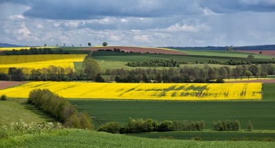 <i class='fa fa-user'></i>&nbsp;nelappelmelk&nbsp;|  Fascinerend landschap&nbsp; <i class='fa fa-eye'>&nbsp;142</i> &nbsp; <i class='fa fa-comment-o'>&nbsp;4</i>
