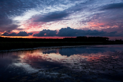 <i class='fa fa-user'></i>&nbsp;Henri Aantjes&nbsp;|  Zonsondergang&nbsp; <i class='fa fa-eye'>&nbsp;110</i> &nbsp;<i class='fa fa-thumbs-up'>&nbsp;3</i> &nbsp; <i class='fa fa-comment-o'>&nbsp;3</i>