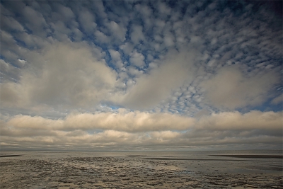 <i class='fa fa-user'></i>&nbsp;Pieter  LJ&nbsp;|  Wolkenlucht boven het wad&nbsp; <i class='fa fa-eye'>&nbsp;146</i> &nbsp;<i class='fa fa-thumbs-up'>&nbsp;1</i> &nbsp; <i class='fa fa-comment-o'>&nbsp;6</i>