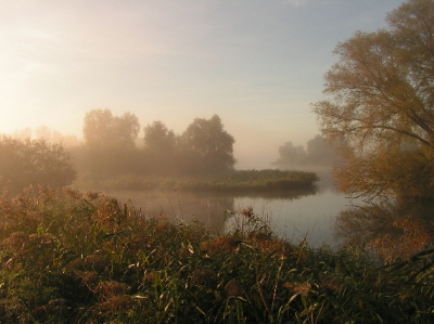 <i class='fa fa-user'></i> Korstiaan Spruyt | Biesboschlandschap bij zonsopkomst  <i class='fa fa-eye'> 210</i>   <i class='fa fa-comment-o'> 1</i>