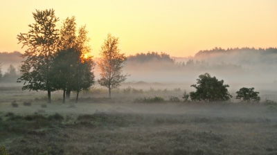 <i class='fa fa-user'></i>&nbsp;B.M.Schouten-Ruis&nbsp;|  Het reestdal in de mist&nbsp; <i class='fa fa-eye'>&nbsp;117</i> &nbsp;<i class='fa fa-thumbs-up'>&nbsp;1</i> &nbsp; <i class='fa fa-comment-o'>&nbsp;9</i>