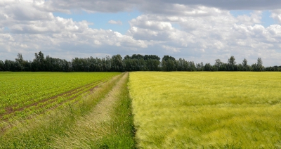 <i class='fa fa-user'></i>&nbsp;Bert Veerman&nbsp;|  Gedeeld landschap&nbsp; <i class='fa fa-eye'>&nbsp;92</i> &nbsp; <i class='fa fa-comment-o'>&nbsp;1</i>