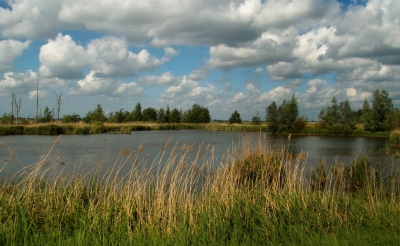 <i class='fa fa-user'></i>&nbsp;B.M.Schouten-Ruis&nbsp;|  Zevenhuizerplas&nbsp; <i class='fa fa-eye'>&nbsp;89</i> &nbsp; <i class='fa fa-comment-o'>&nbsp;1</i>
