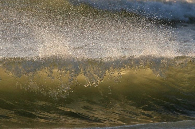 <i class='fa fa-user'></i> Adri Hoogendijk | Noordzee  <i class='fa fa-eye'> 550</i>  <i class='fa fa-thumbs-up'> 4</i>   <i class='fa fa-comment-o'> 21</i>