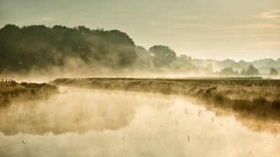 <i class='fa fa-user'></i>&nbsp;nelappelmelk&nbsp;|  Mist boven de Berkel&nbsp; <i class='fa fa-eye'>&nbsp;223</i> &nbsp;<i class='fa fa-thumbs-up'>&nbsp;19</i> &nbsp; <i class='fa fa-comment-o'>&nbsp;15</i>