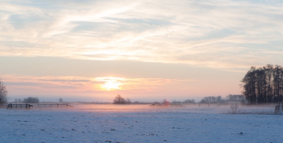 <i class='fa fa-user'></i>&nbsp;ep&nbsp;|  Winterochtend in Tienhoven&nbsp; <i class='fa fa-eye'>&nbsp;116</i> &nbsp; <i class='fa fa-comment-o'>&nbsp;2</i>