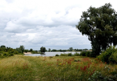 <i class='fa fa-user'></i>&nbsp;kooyammers&nbsp;|  Rivierduinlandschap De Bol&nbsp; <i class='fa fa-eye'>&nbsp;75</i> &nbsp; <i class='fa fa-comment-o'>&nbsp;3</i>
