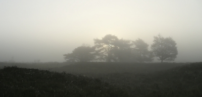 <i class='fa fa-user'></i>&nbsp;Ben Aalders&nbsp;|  Dwingelderveld&nbsp; <i class='fa fa-eye'>&nbsp;84</i> &nbsp; <i class='fa fa-comment-o'>&nbsp;2</i>