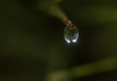<i class='fa fa-user'></i>&nbsp;Jan Luit&nbsp;|  Waterdruppel&nbsp; <i class='fa fa-eye'>&nbsp;94</i> &nbsp; <i class='fa fa-comment-o'>&nbsp;6</i>
