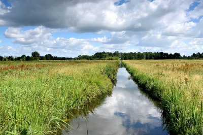 <i class='fa fa-user'></i>&nbsp;kooyammers&nbsp;|  Wolken en Sloten&nbsp; <i class='fa fa-eye'>&nbsp;137</i> &nbsp;<i class='fa fa-thumbs-up'>&nbsp;2</i> &nbsp; <i class='fa fa-comment-o'>&nbsp;5</i>