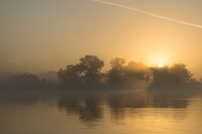 <i class='fa fa-user'></i>&nbsp;Schollevaer&nbsp;|  Zonsopkomst Biesbosch&nbsp; <i class='fa fa-eye'>&nbsp;129</i> &nbsp;<i class='fa fa-thumbs-up'>&nbsp;1</i> &nbsp; <i class='fa fa-comment-o'>&nbsp;6</i>